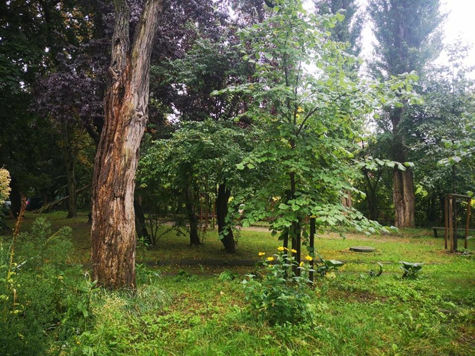 Apartament Wroblewski Lägenhet Gdańsk Exteriör bild